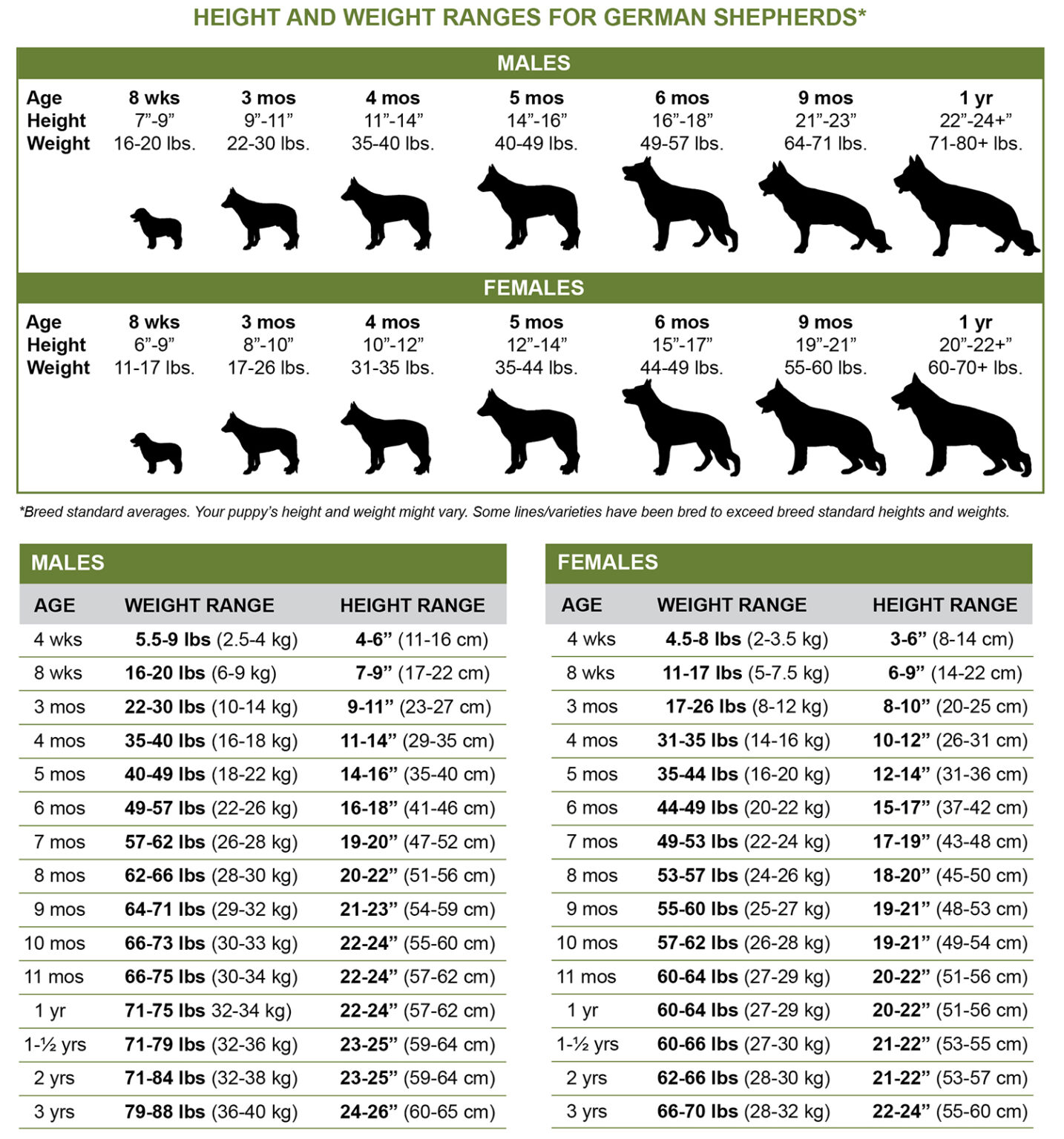 Growth Charts GSDLiving